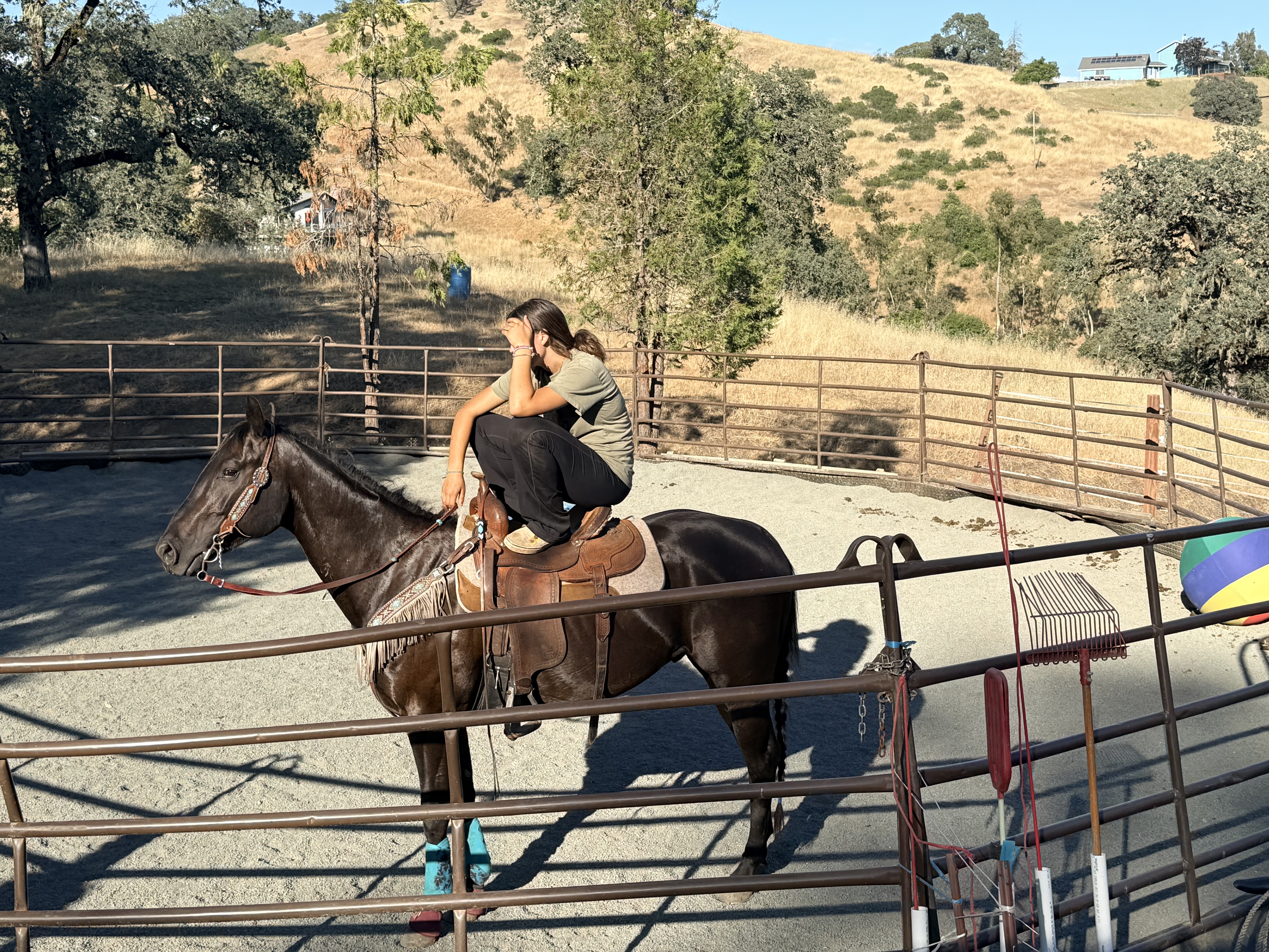 Rocky 2