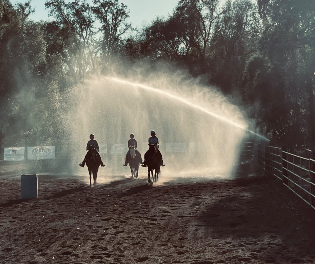 Wild Rose Ranch