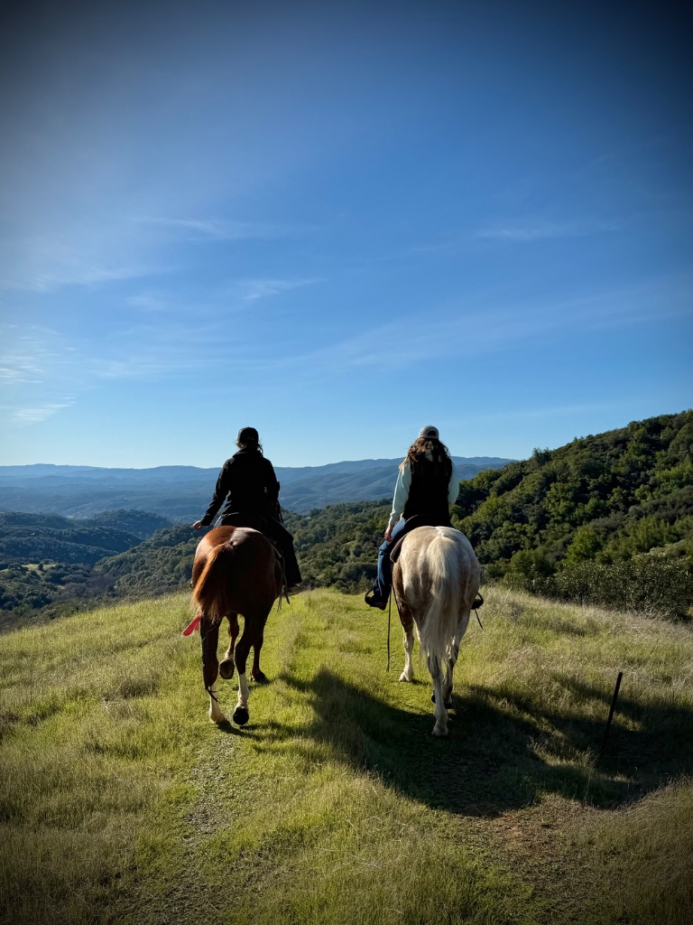 Wild Rose Ranch
