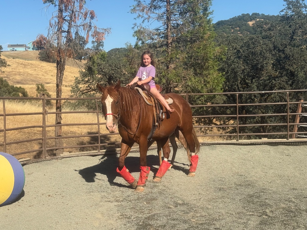 Wild Rose Ranch