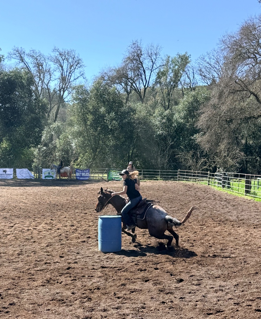 Wild Rose Ranch