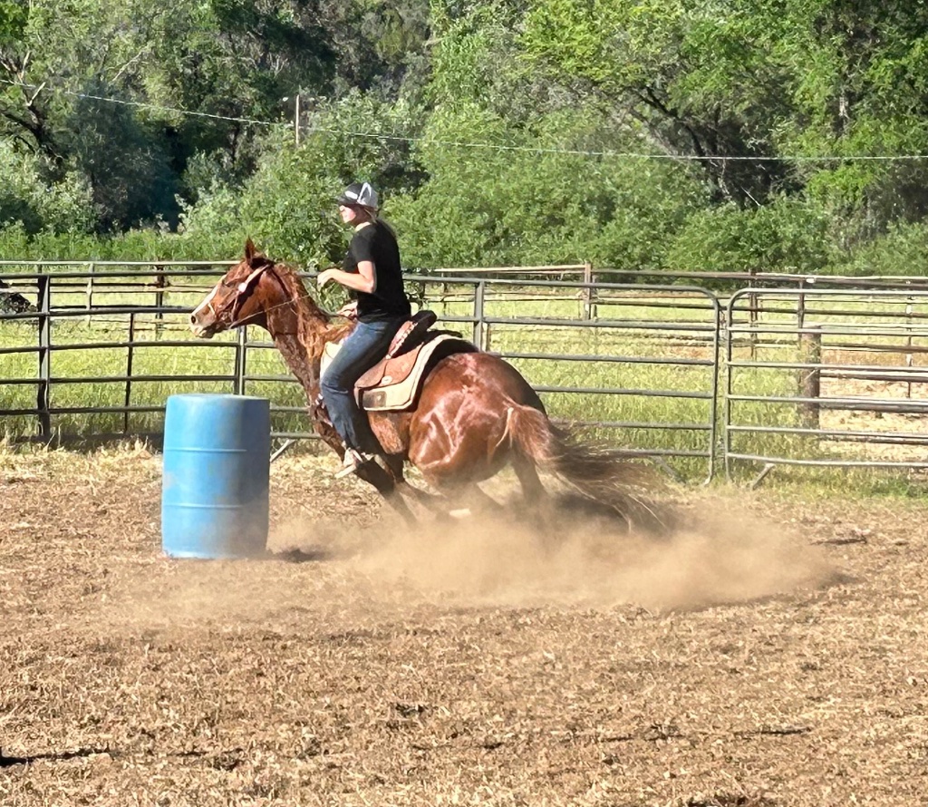 Wild Rose Ranch