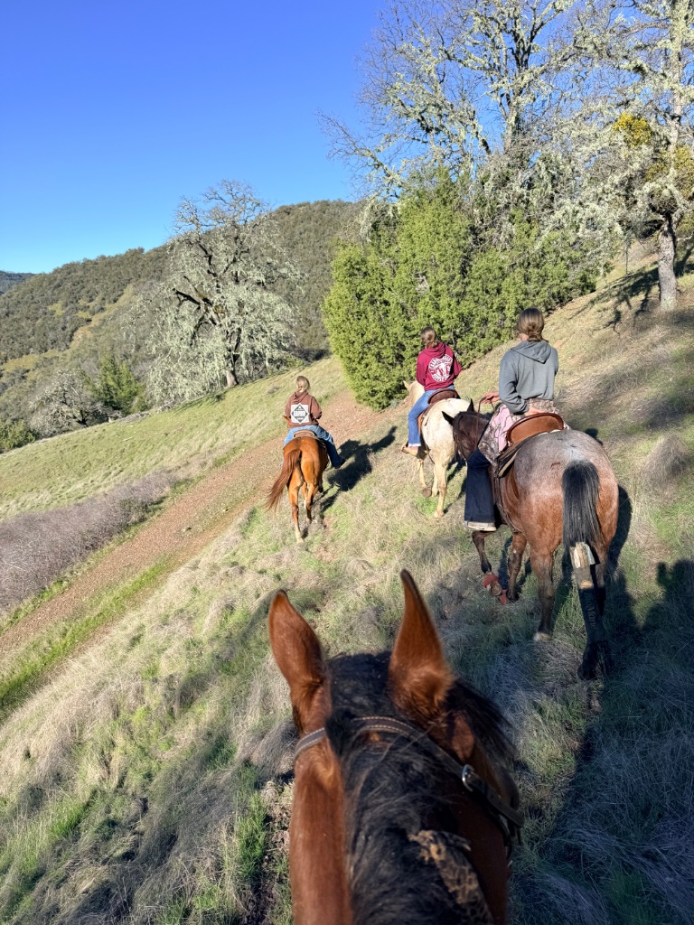 Wild Rose Ranch