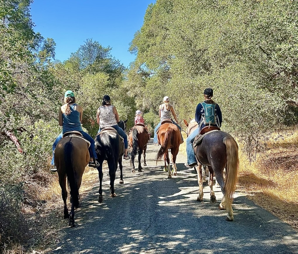 Wild Rose Ranch