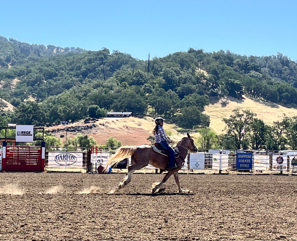 Wild Rose Ranch