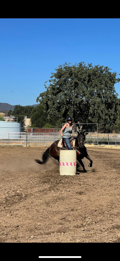 Wild Rose Ranch