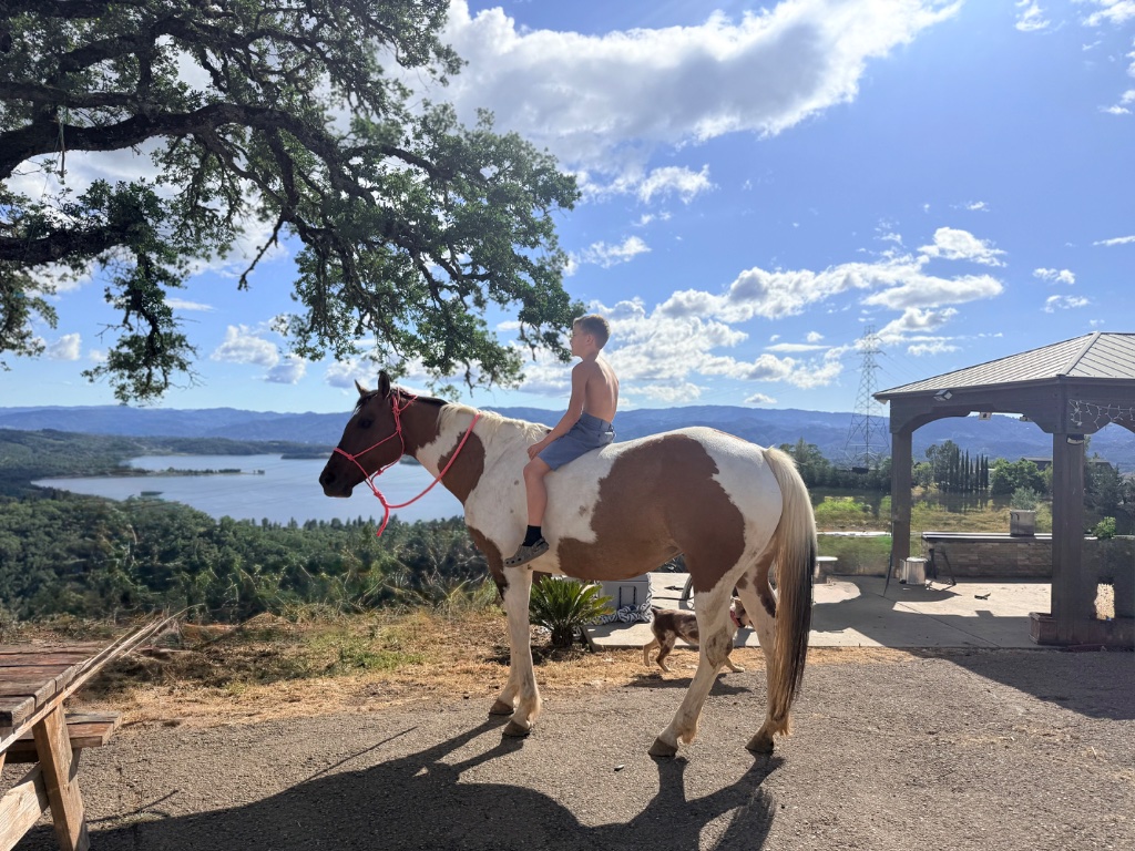 Wild Rose Ranch