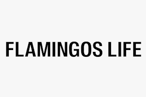 FLAMINGOS LIFE