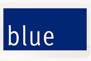 BLUE SHOES — shop interior