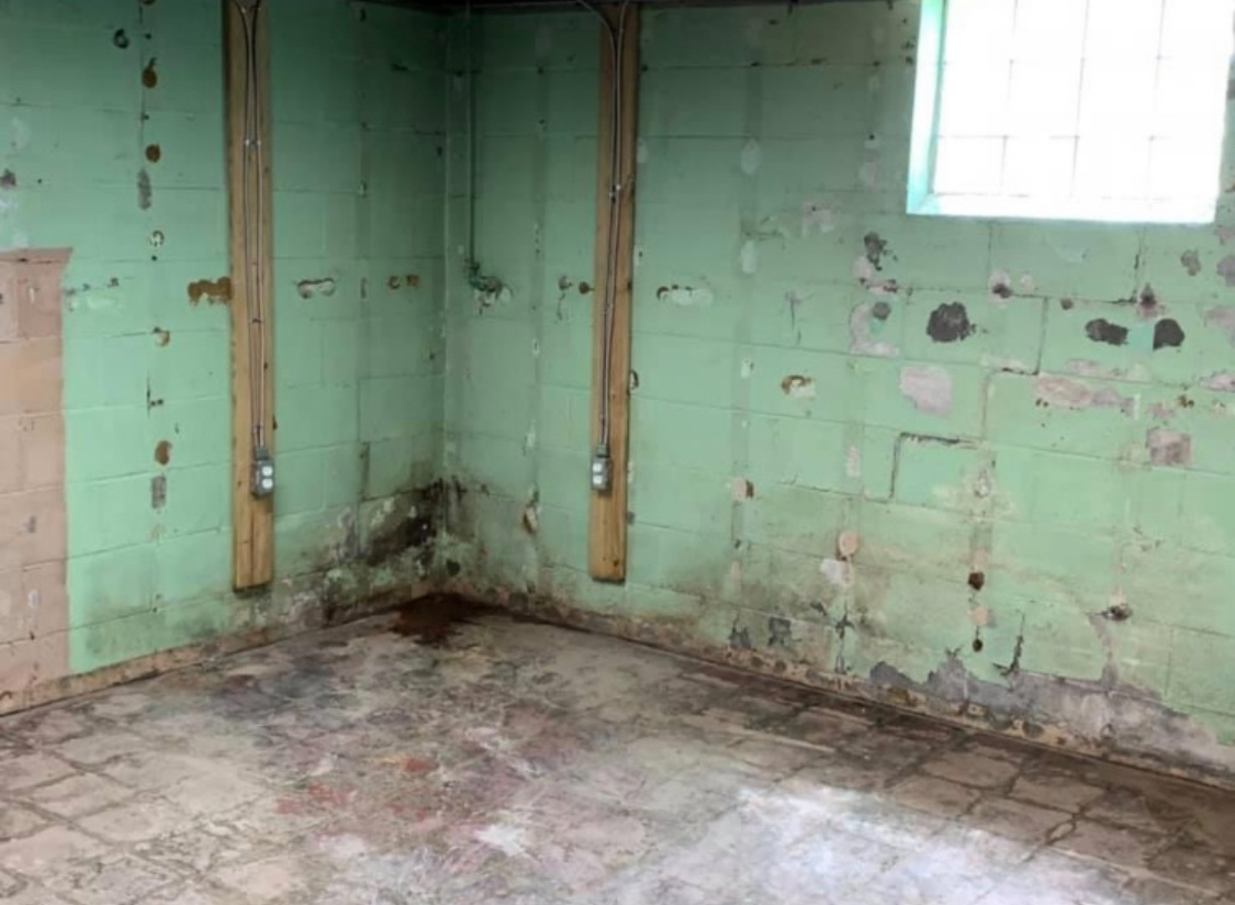 Before — Corner: Active Mold Growth & Efflorescence — Youngstown, OH