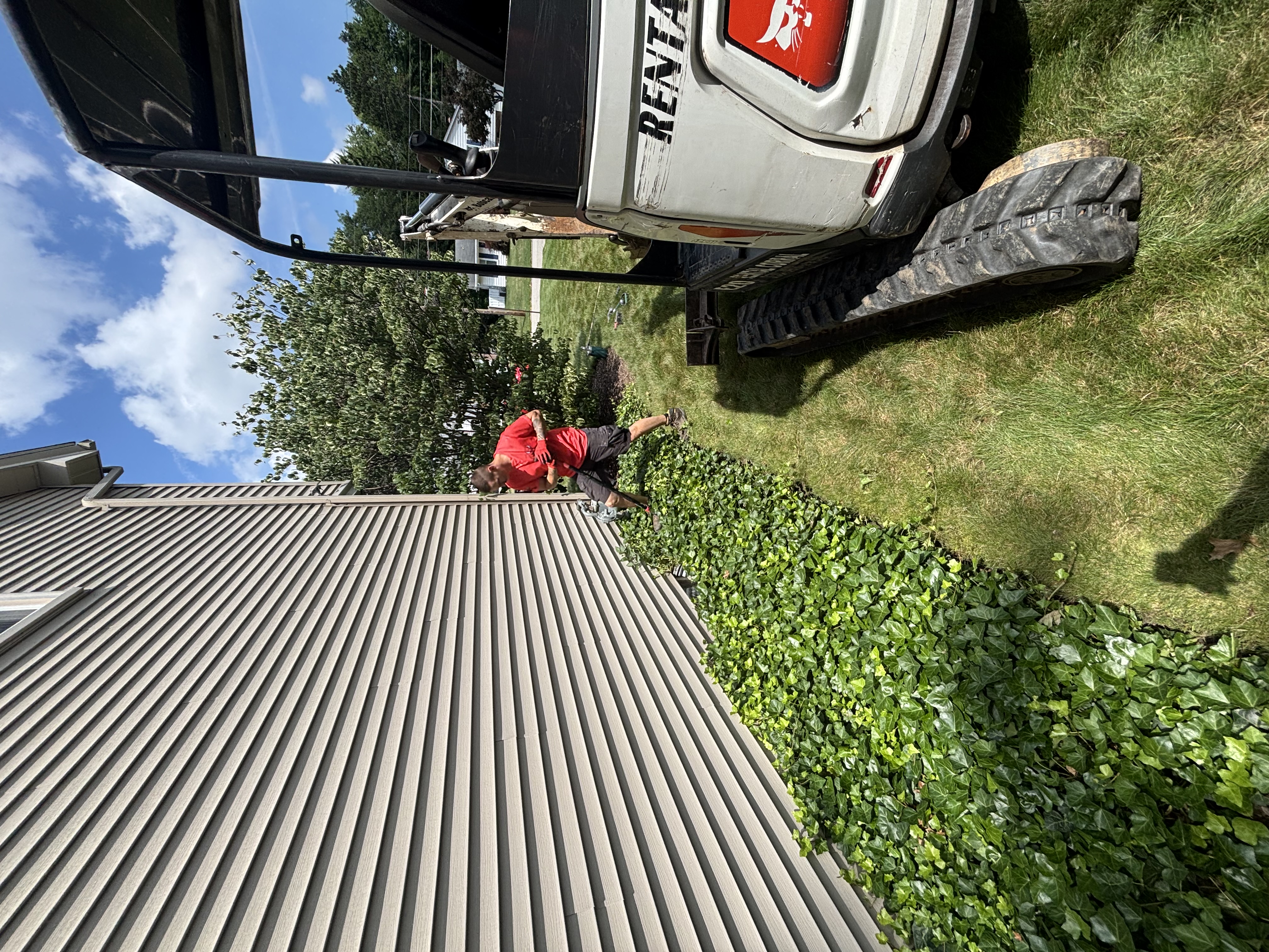 Pre-Dig Vegetation & Conditions