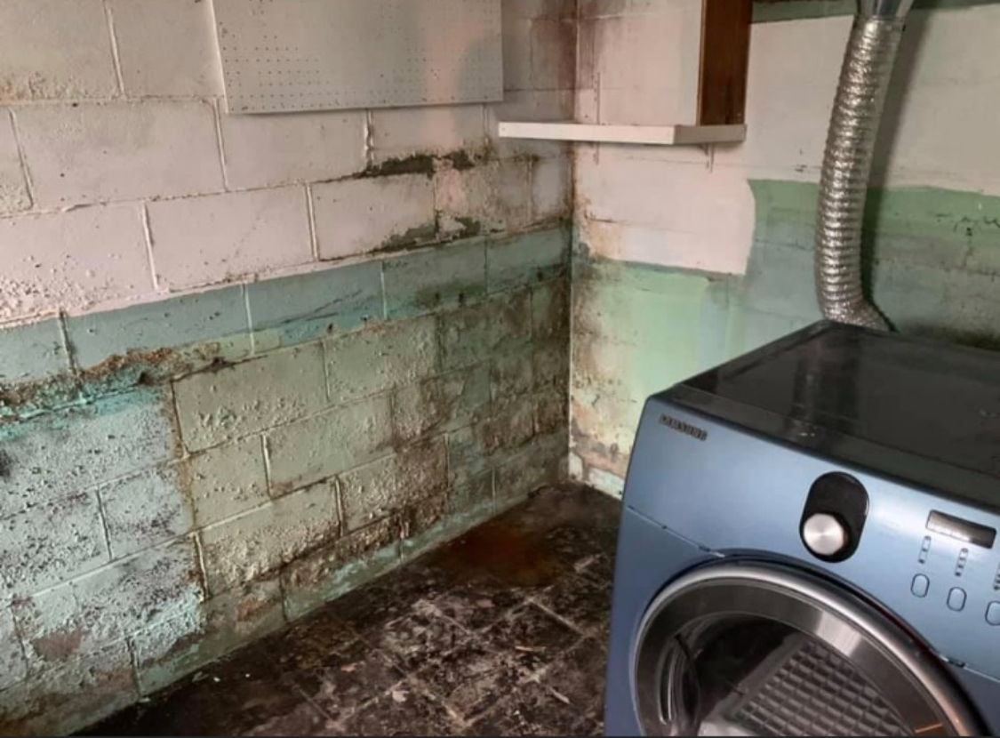 Before — Laundry Area: Mold at Wall Base & Standing Water — Youngstown, OH