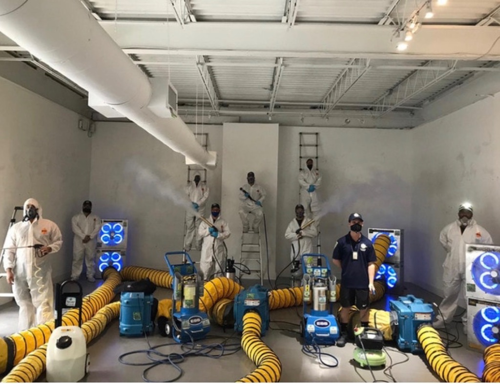 Mold Remediation
