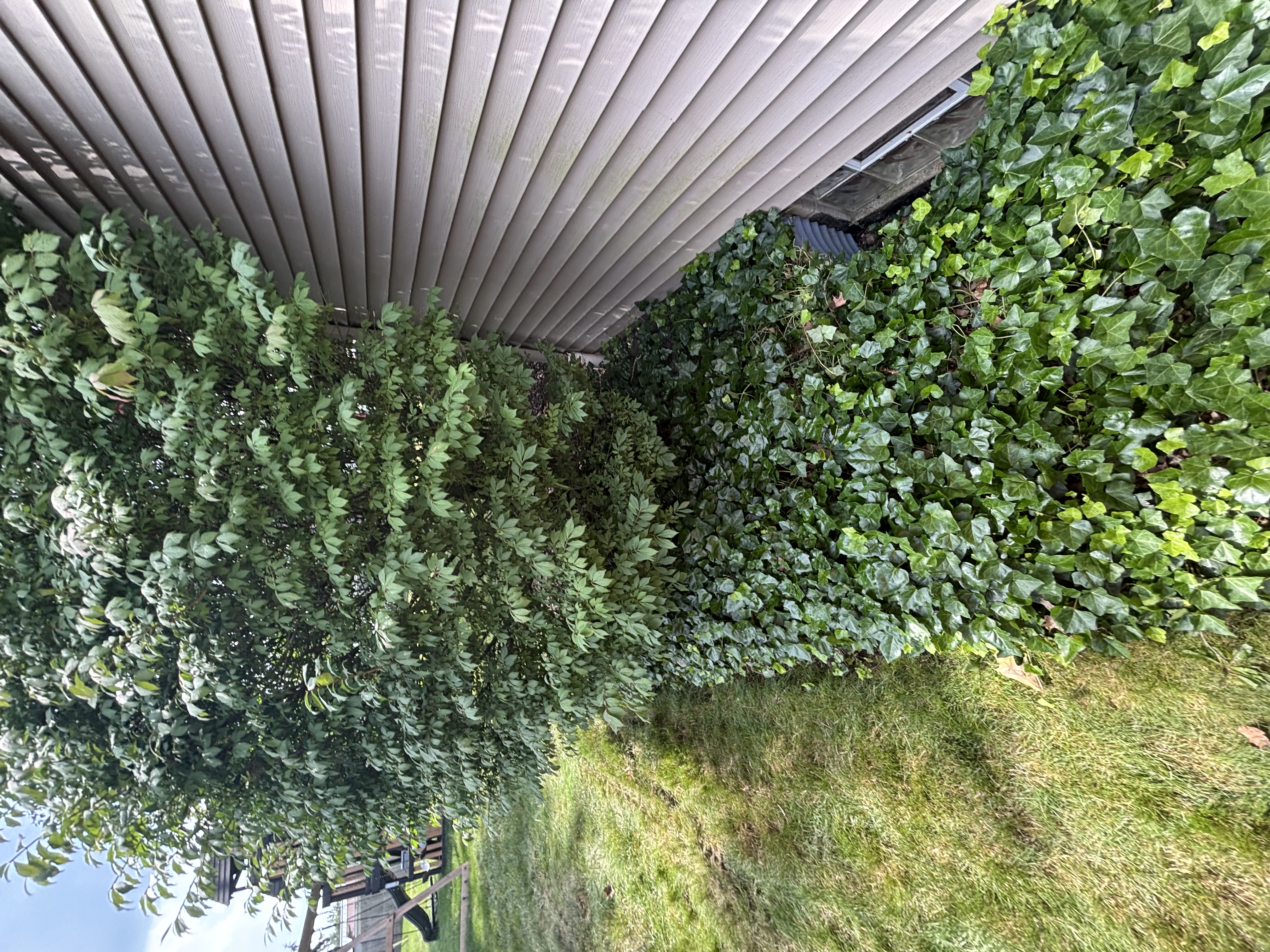 Foundation Side Before Excavation — Boardman, OH