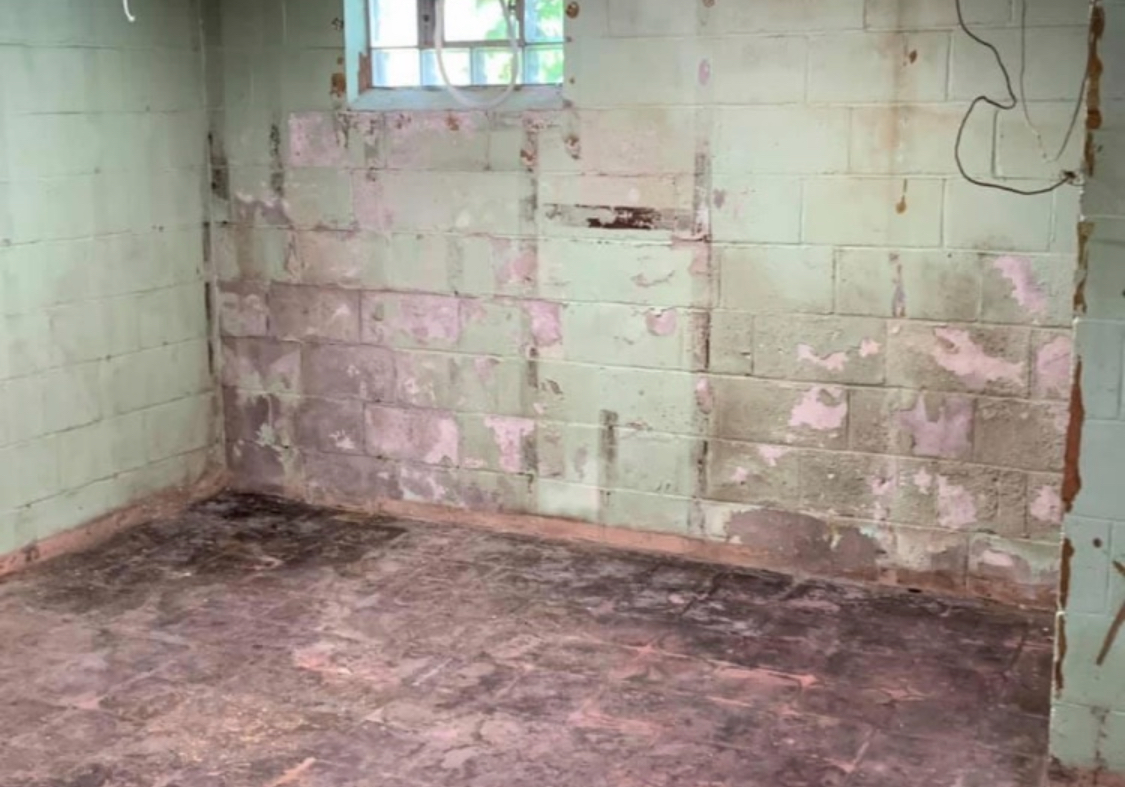 Before — Wide Room View: Fan Running, Mold Throughout — Youngstown, OH