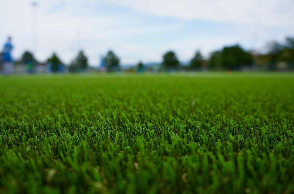 Cleaner artificial turf in San Diego backyard
