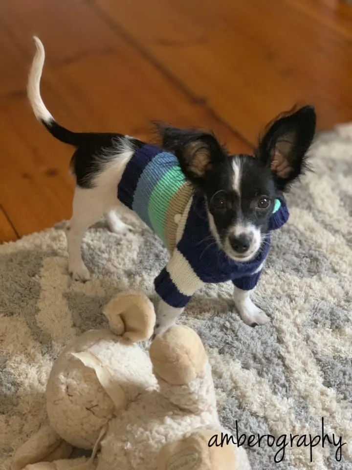 Cooper