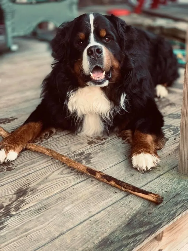 Porter