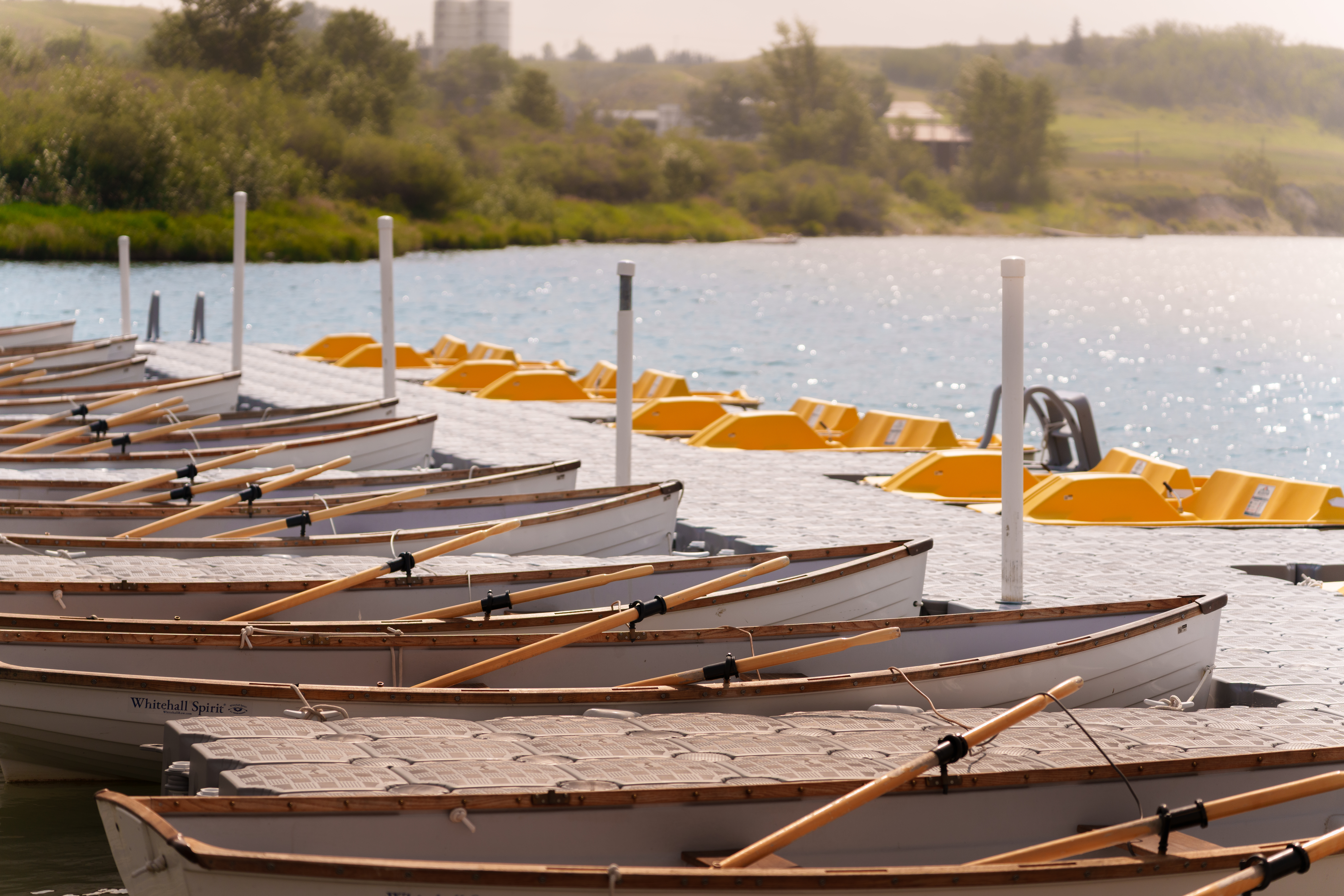 Boat Rentals