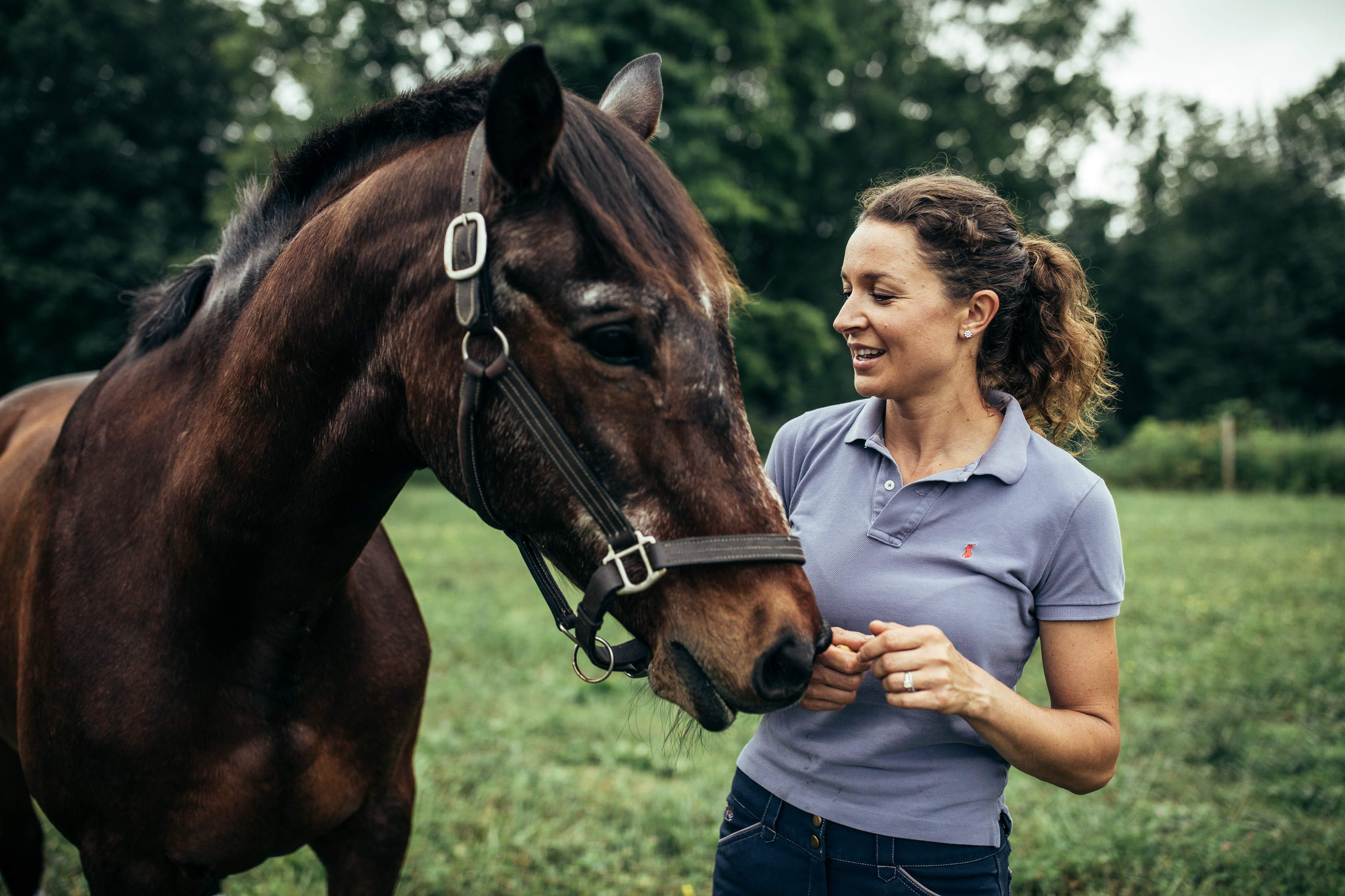 A woman in a lavender polo smiling down at a dark brown horse in a green pasture