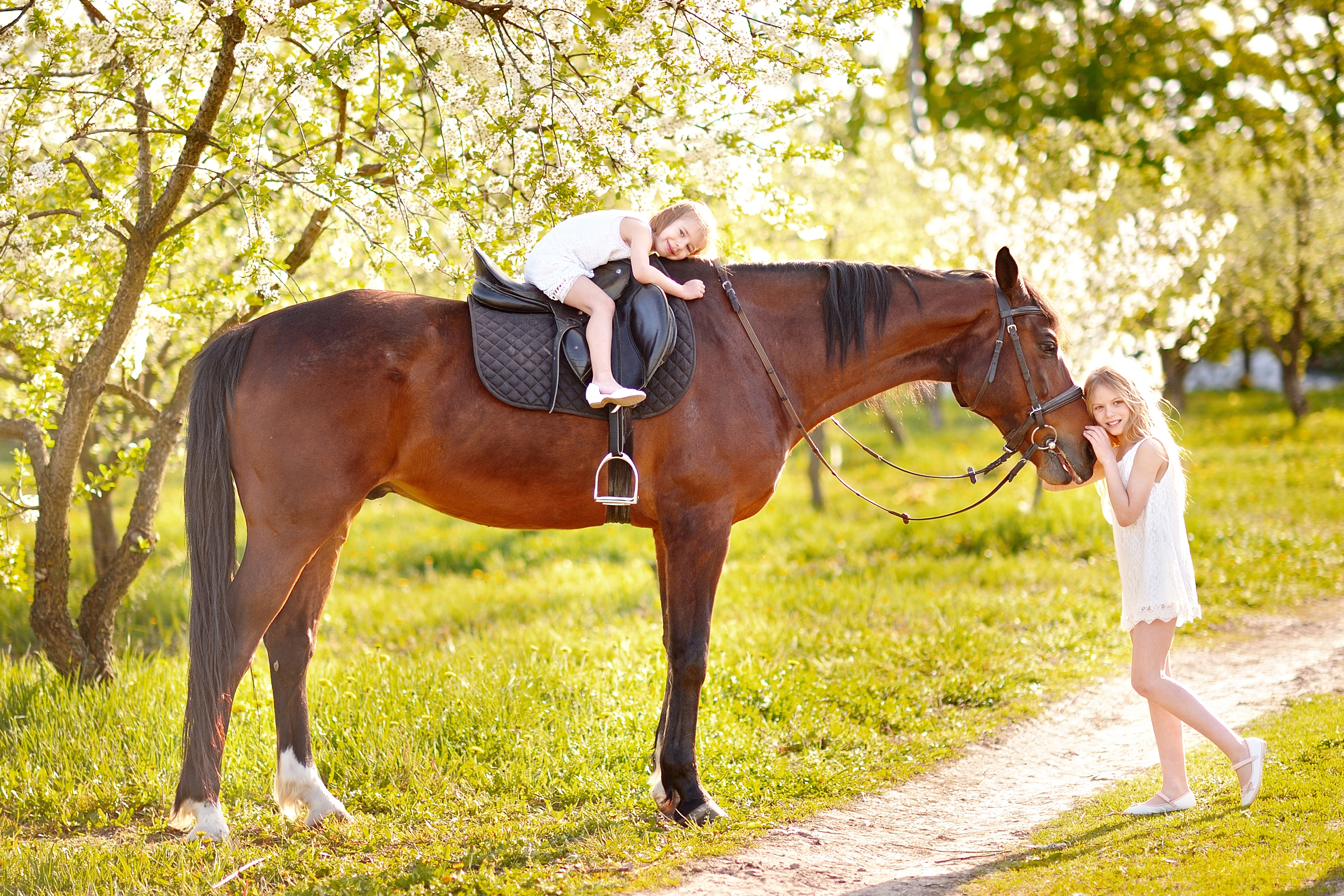 Two girls in white dresses with a bay horse in a blooming orchard
