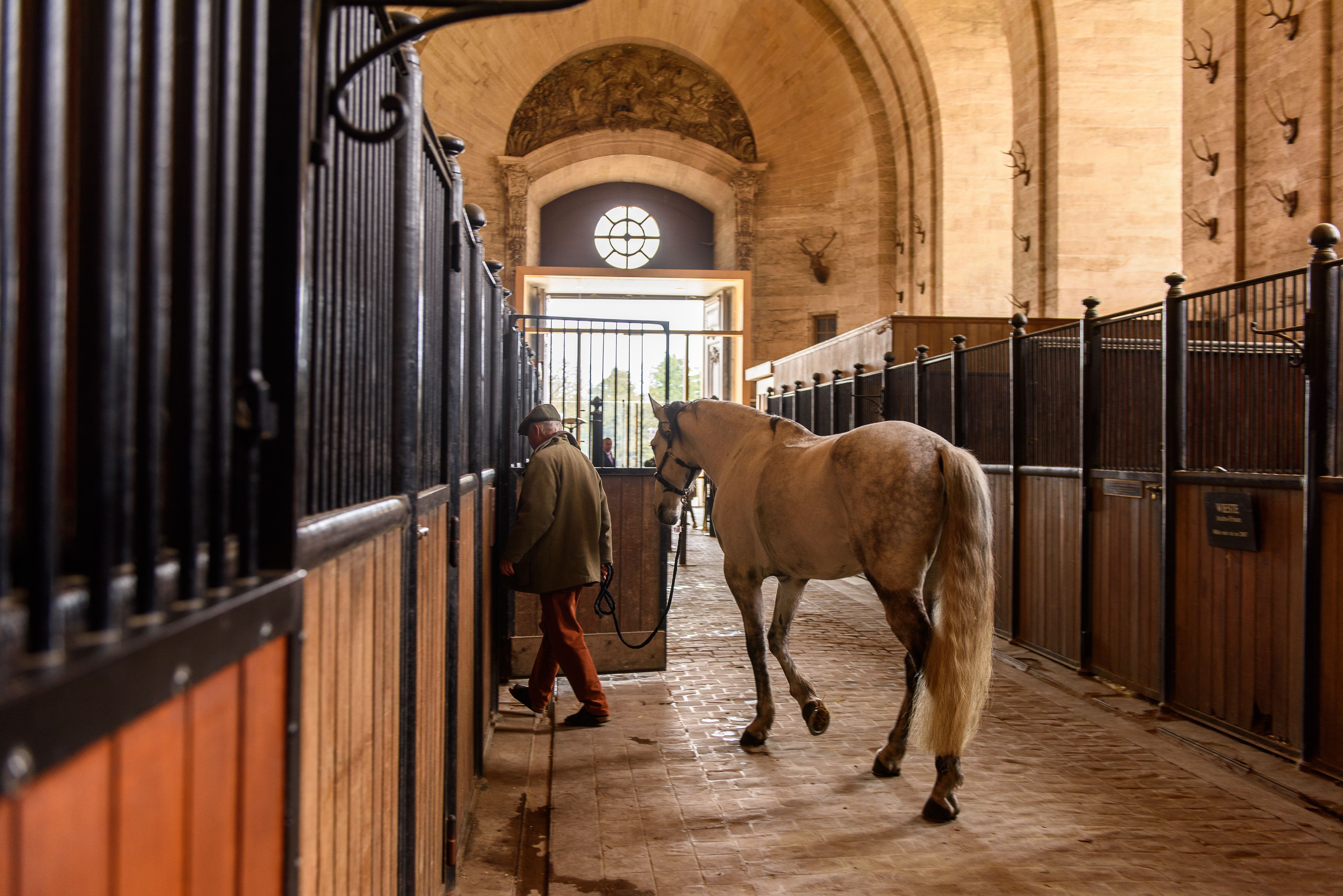 A man in a flat cap leading a grey horse down a stone stable aisle