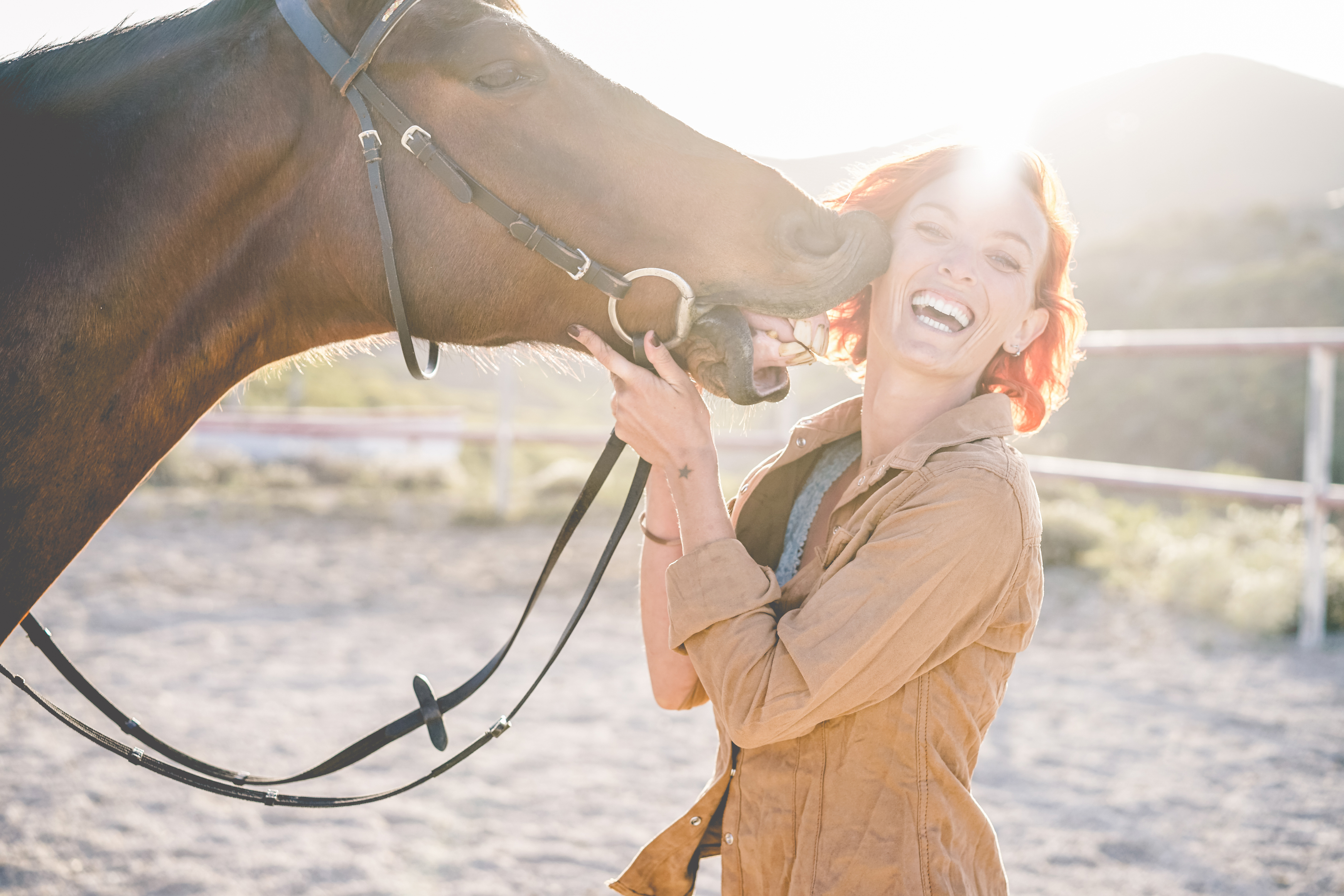 A woman laughing as a brown horse nuzzles her face in a sunlit paddock