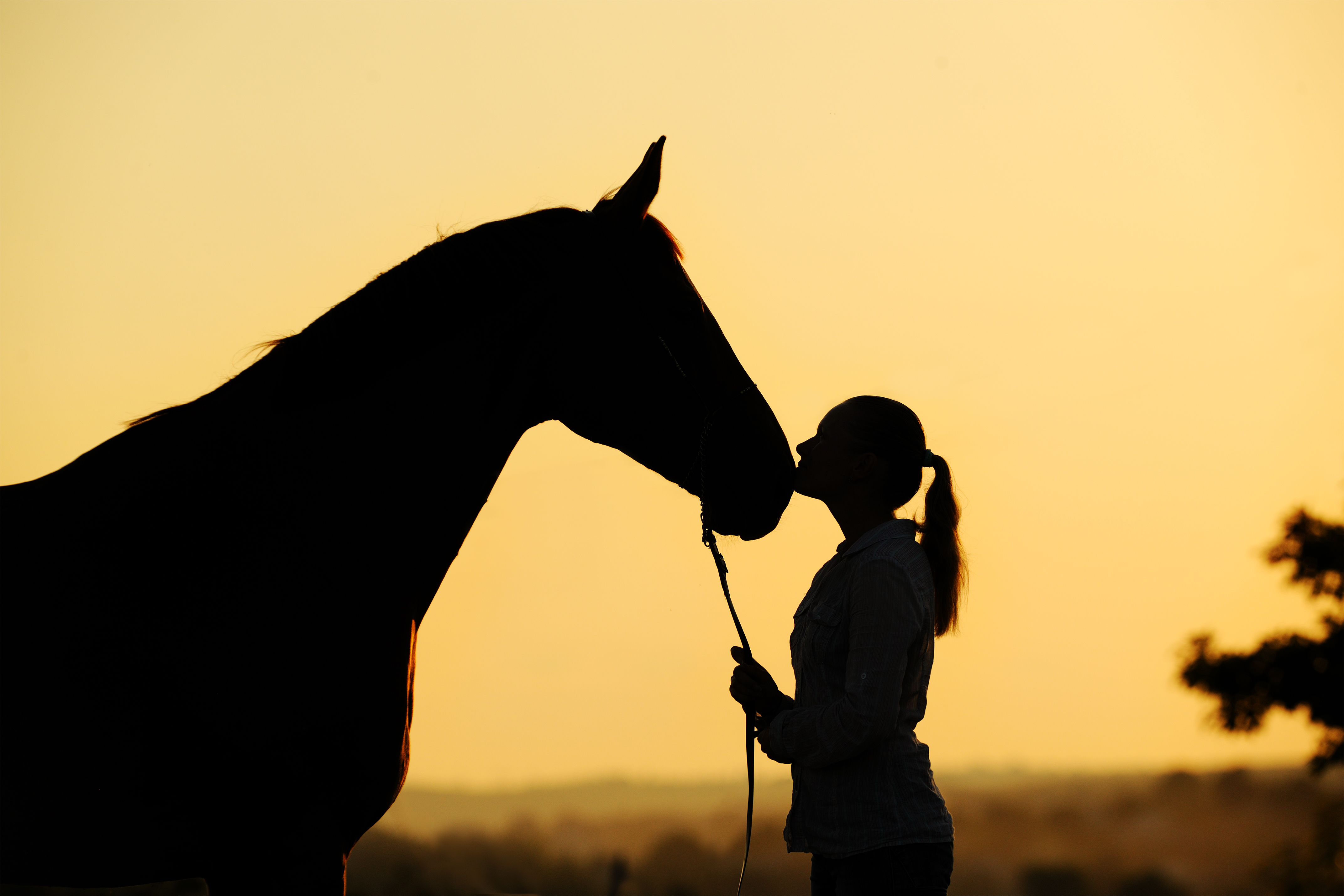 Silhouette of a woman and a horse against a warm golden sunset sky