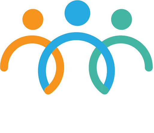 Bridge Digital Skills