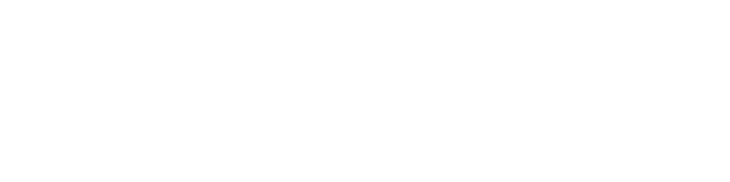 LaneSeek