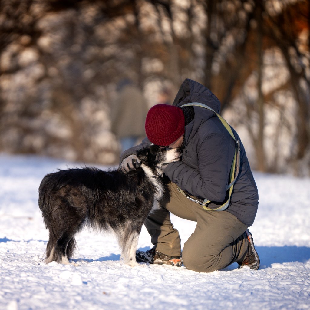 Life with Dogs