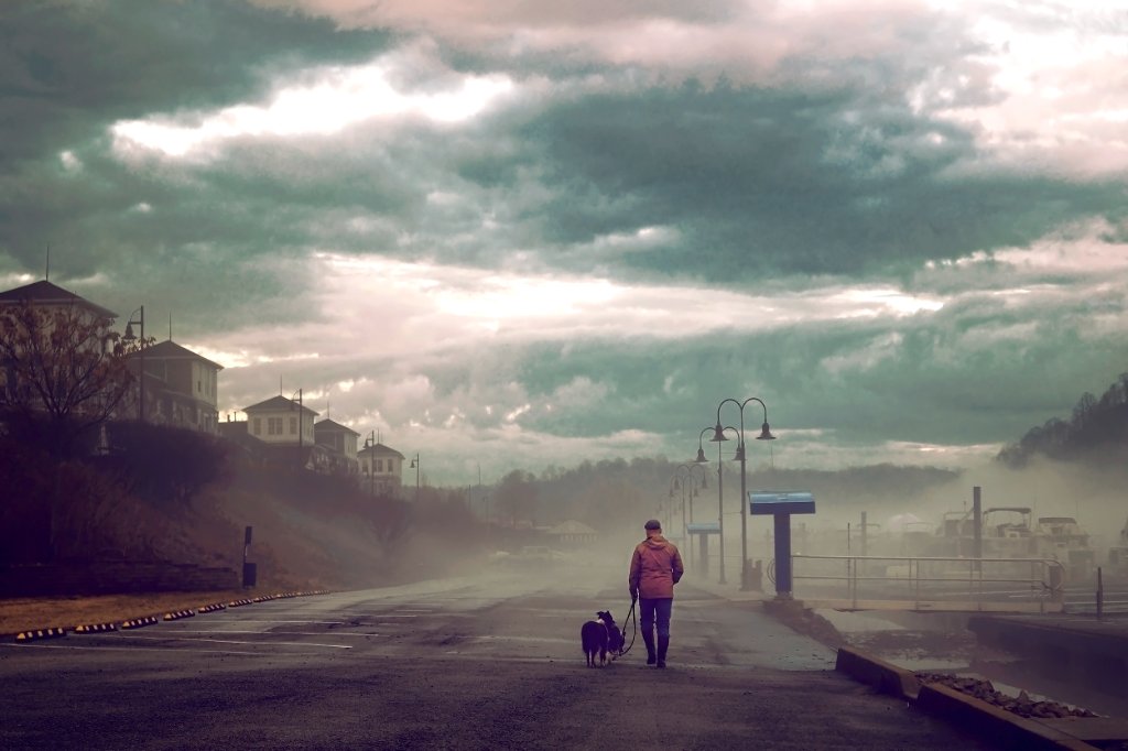 Alex and dogs at foggy marina