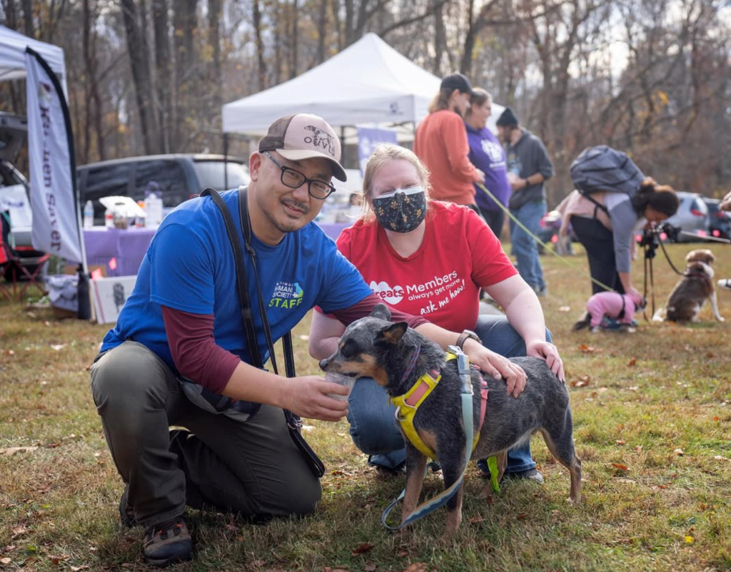 Dog Festival