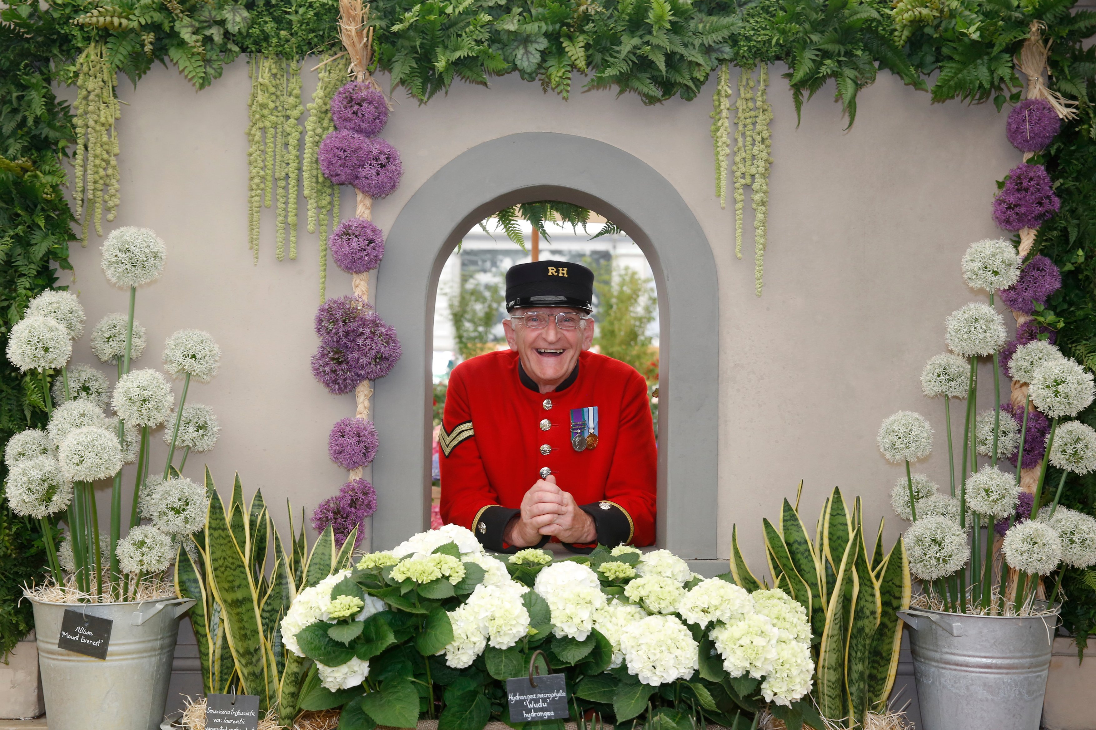 A Chelsea Pensioner in scarlet uniform framed by flowers at the RHS Chelsea Flower Show.