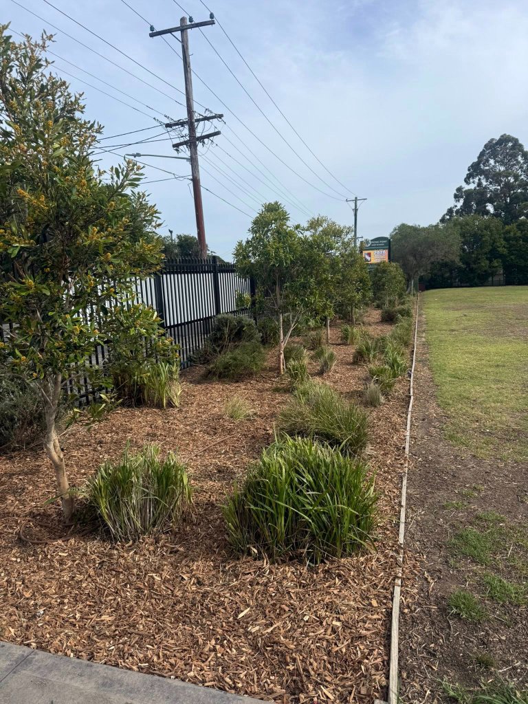 School Garden Install