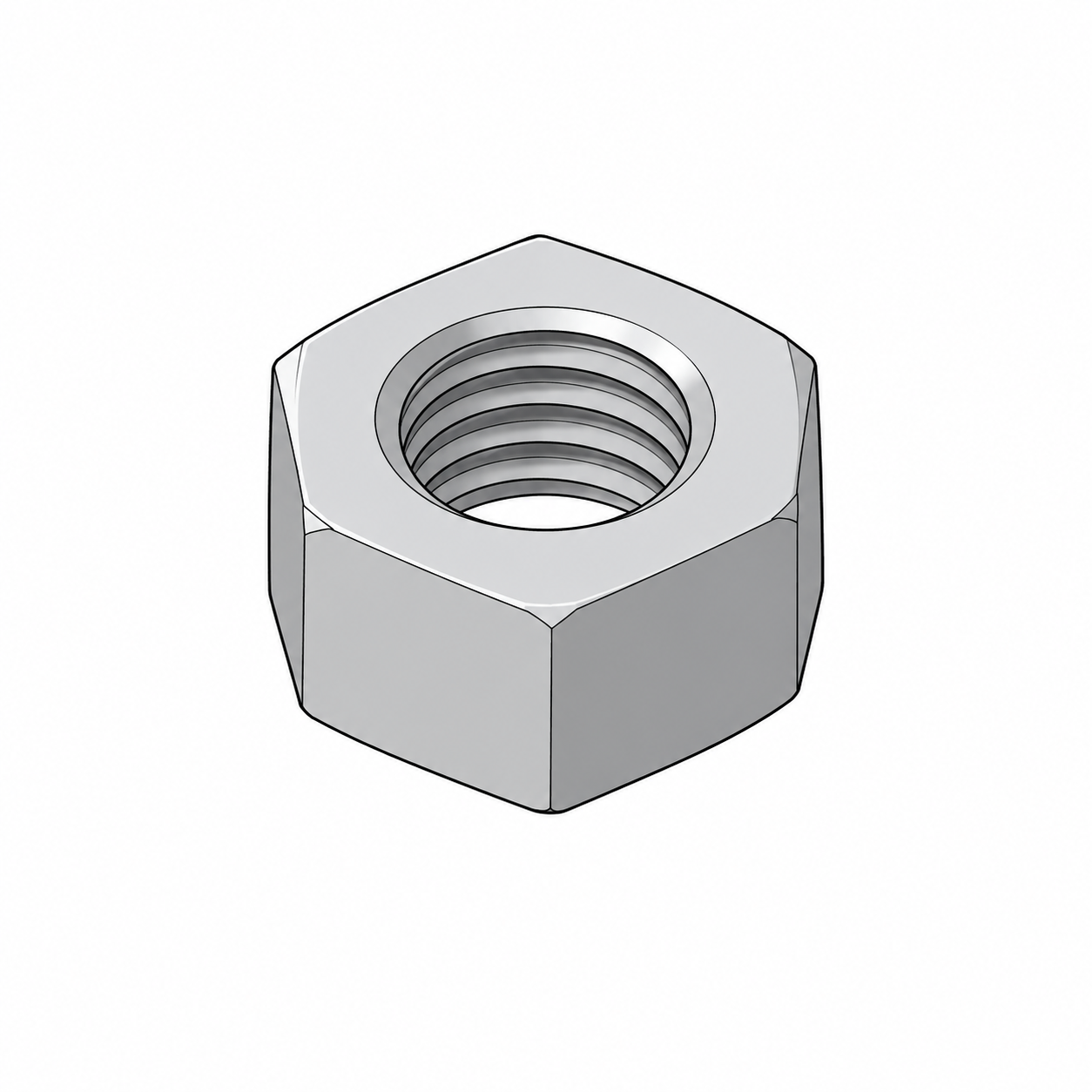 Hex Nut (8)