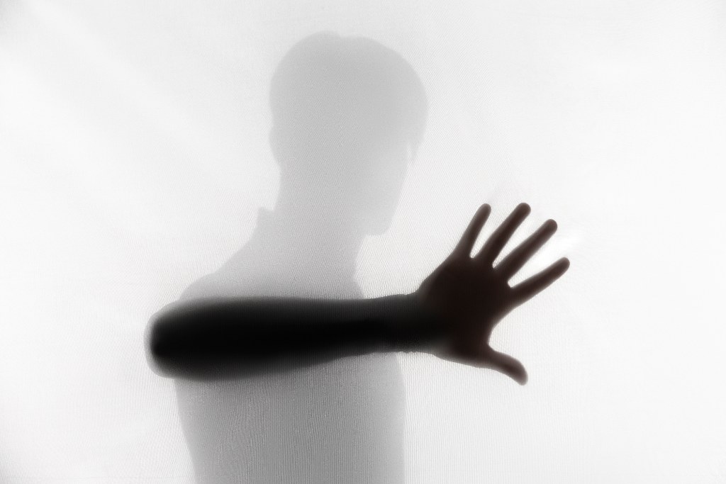 El hijo invisible en la familia narcisista