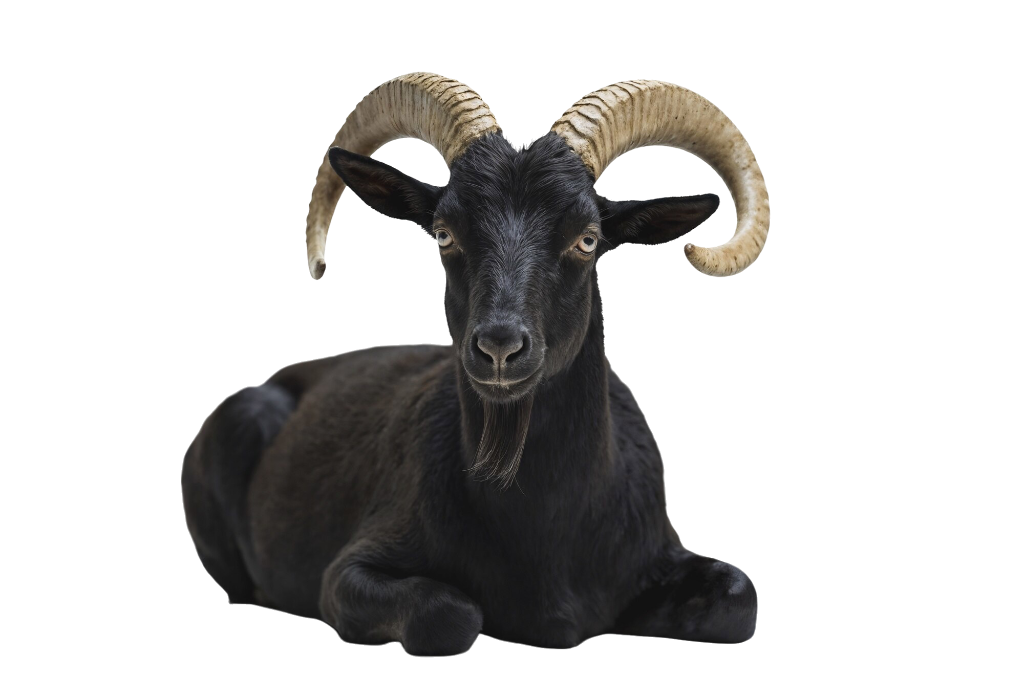 El chivo expiatorio en la familia narcisista