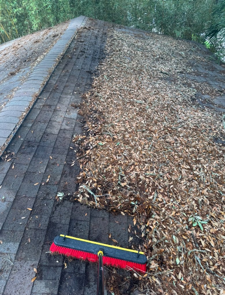 Property Maintenance Programs in the Golden Isles, Georgia