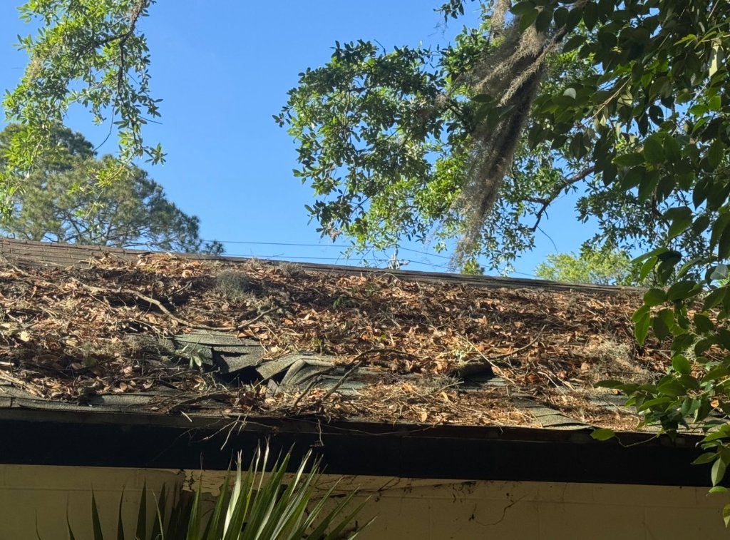 Restoration — Golden Isles, GA