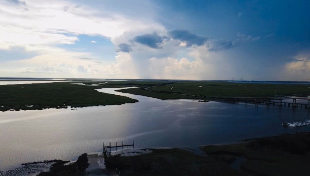 Coastal marsh