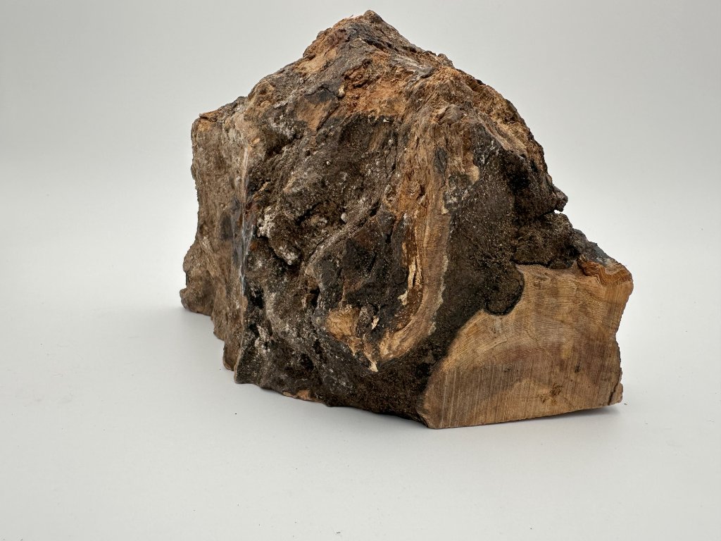Log Nativity 2