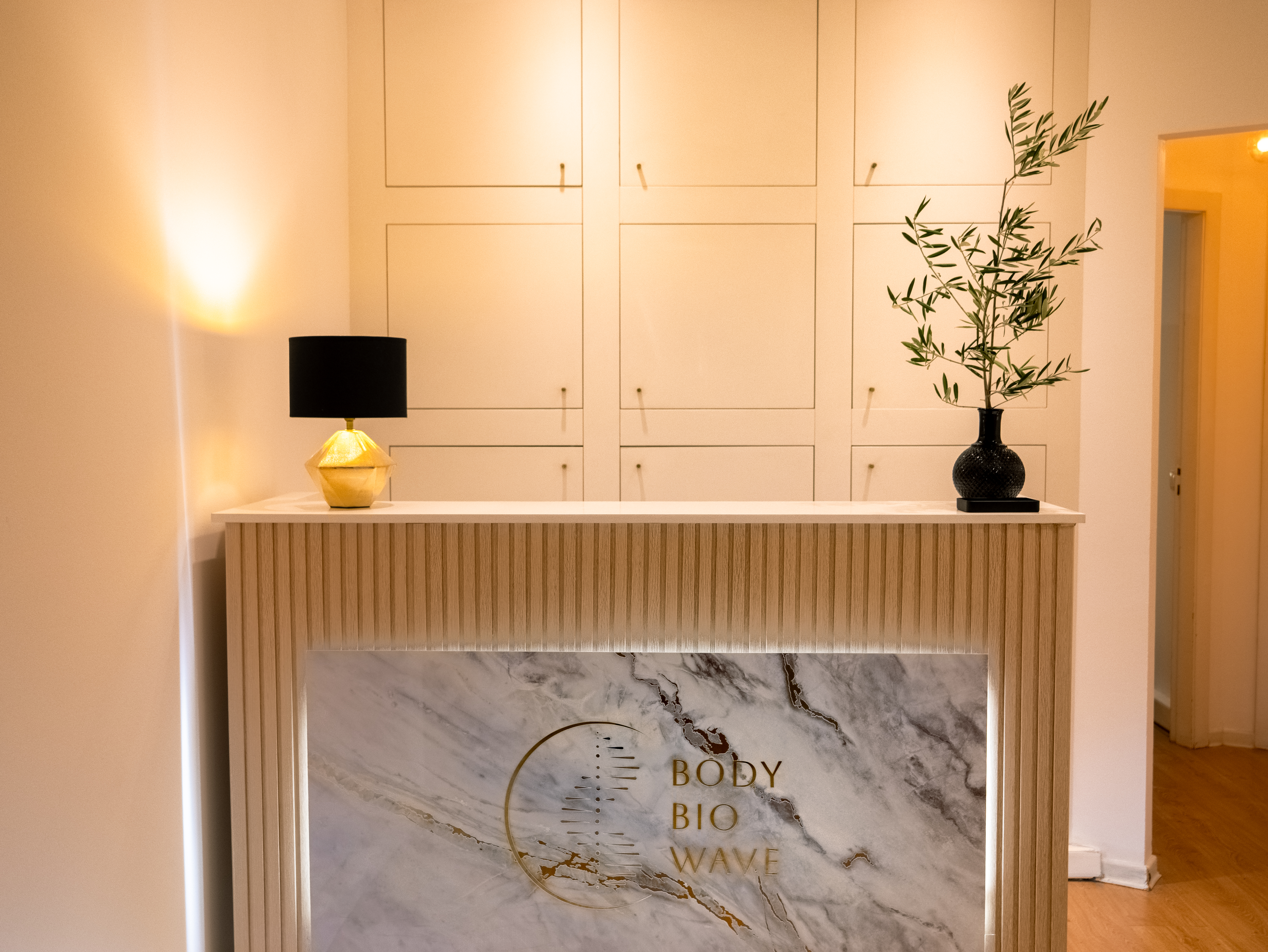 Body BioWave Clinic 2