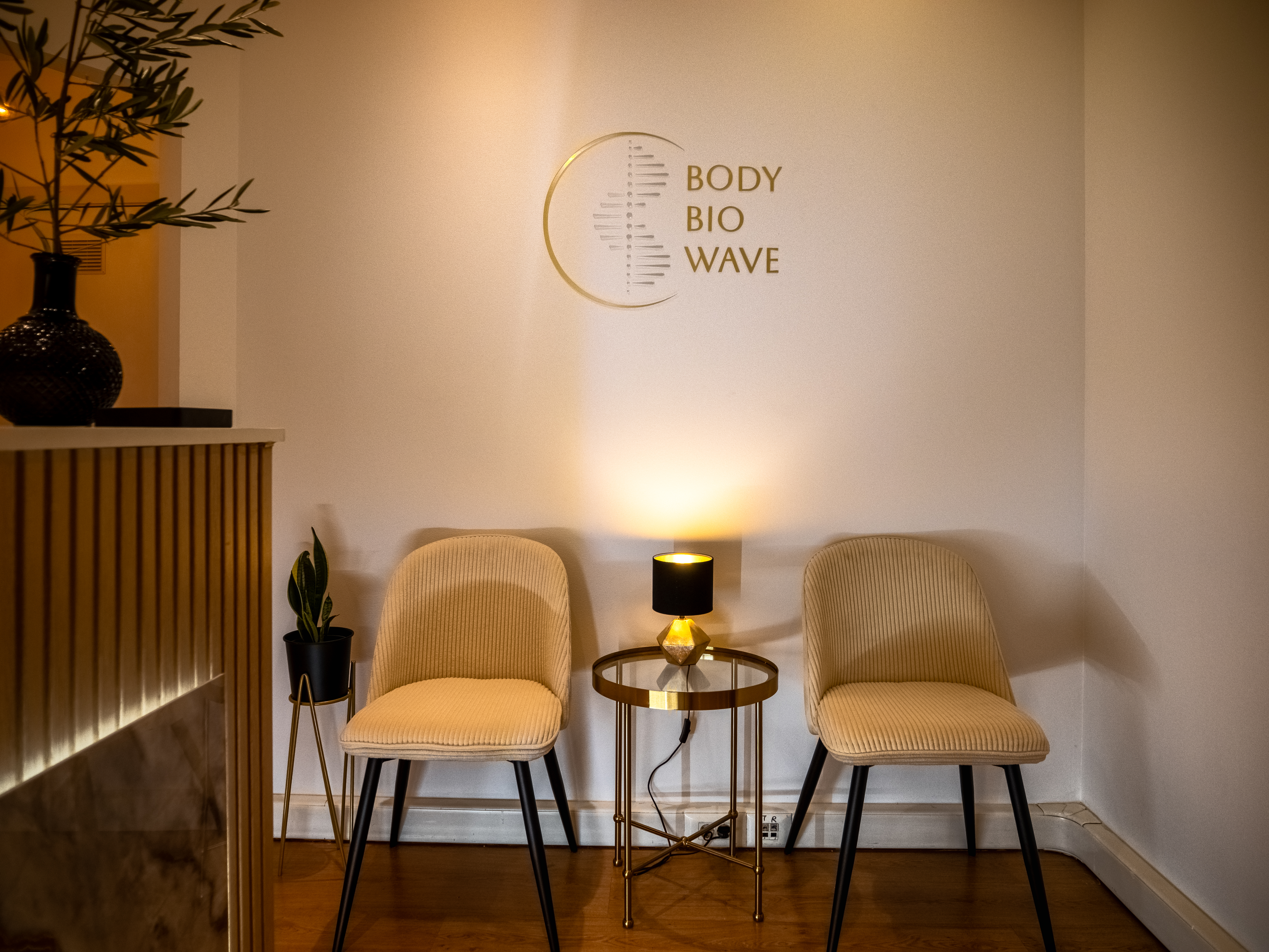 Body BioWave Clinic 4