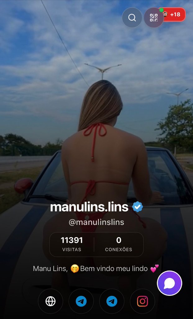 manulins.lins ✓