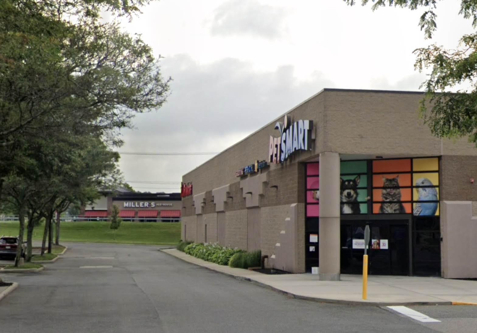 Smithtown Plaza pop-up market