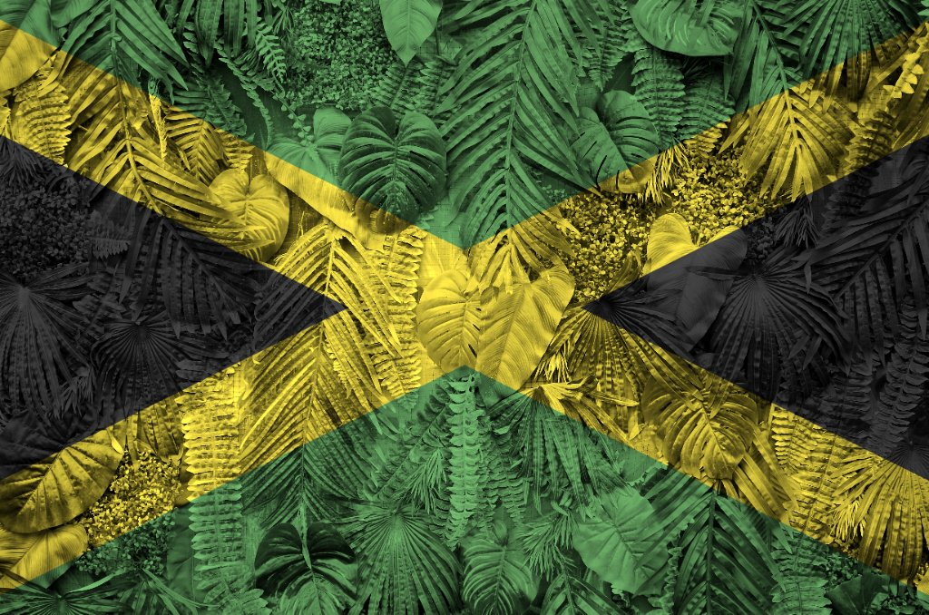 Plan Your Jamaica Trip