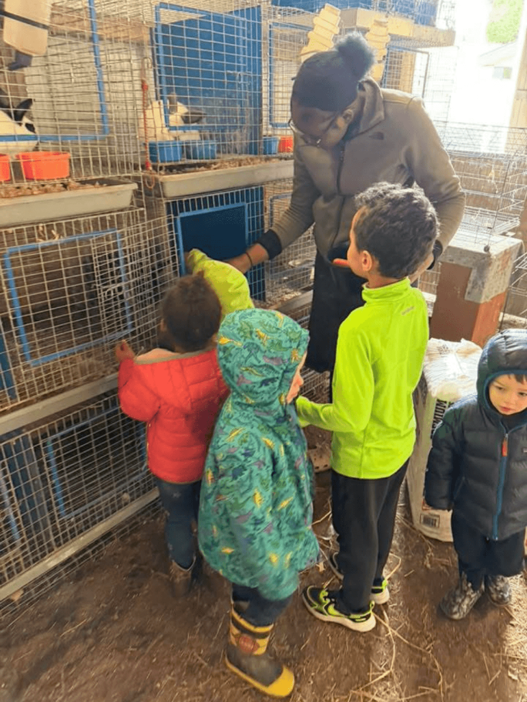 Young Farmers Animal Workshop