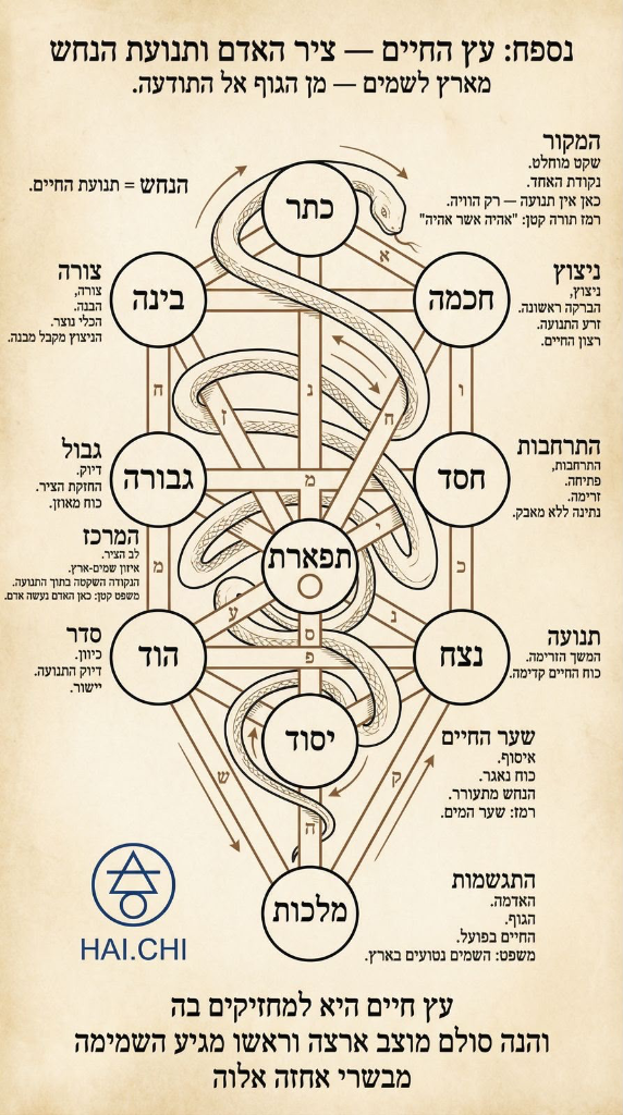 עץ החיים - ציר האדם ותנועת הנחש מארץ לשמים