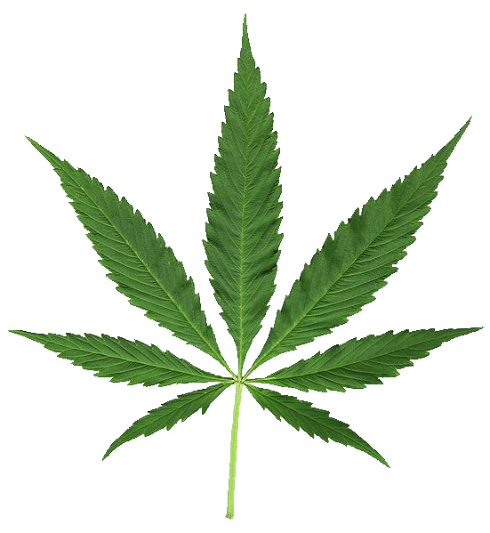 The Ganja Guru logo